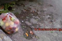 Παράδειγμα ανθρωπιάς απο αγρότες στην λαϊκή αγορά Τρικάλων [photos]