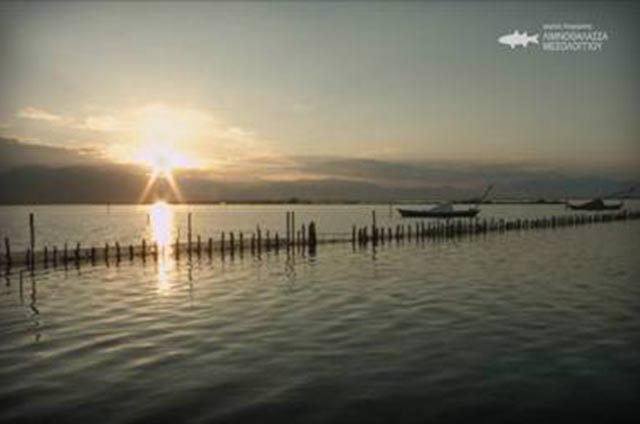 Μετάδοση του ντοκιμαντέρ του Φορέα Διαχείρισης Λιμνοθάλασσας Μεσολογγίου από την ΕΡΤ2 - Φωτογραφία 1