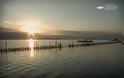 Μετάδοση του ντοκιμαντέρ του Φορέα Διαχείρισης Λιμνοθάλασσας Μεσολογγίου από την ΕΡΤ2