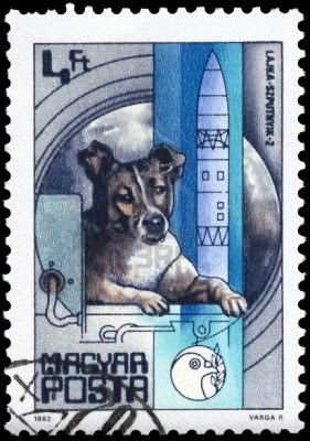 Η ιστορία της Laika του πρώτου σκυλιού που έφτασε στο διάστημα - Φωτογραφία 3