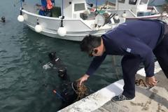 Είχαν μετατρέψει τον βυθό του λιμανιού σε απέραντο… σκουπιδότοπο