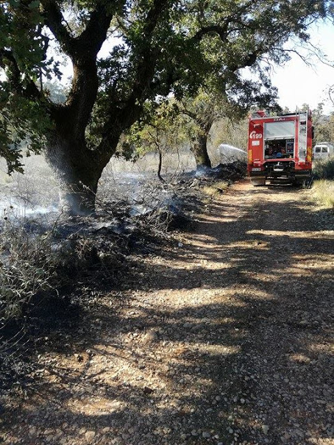 Απετράπη ξανά σήμερα πυρκαγιά στην ΠΑΛΑΙΟΜΑΝΙΝΑ (ΦΩΤΟ) - Φωτογραφία 3