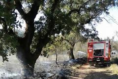 Απετράπη ξανά σήμερα πυρκαγιά στην ΠΑΛΑΙΟΜΑΝΙΝΑ (ΦΩΤΟ)