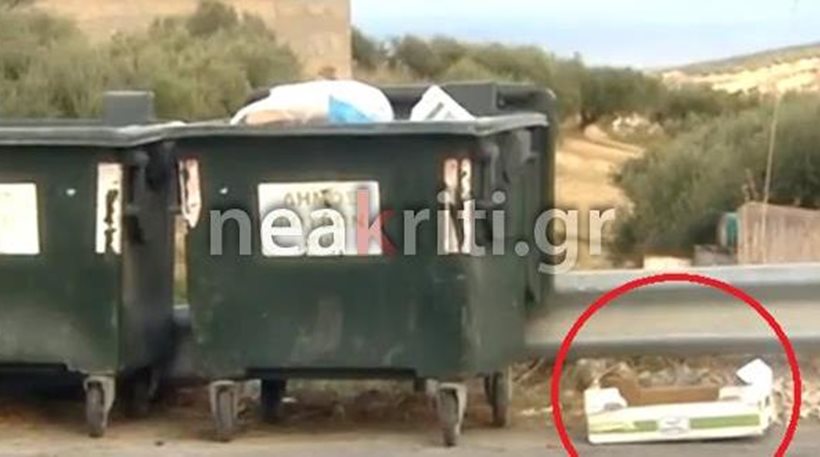 Καμία ανοχή - Μόνο οργή και αηδία: Πολτοποίησαν εν ψυχρώ κουταβάκια και τα πέταξαν στα σκουπίδια - Φωτογραφία 1