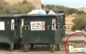 Ηράκλειο: Πολτοποίησαν κουταβάκια και τα πέταξαν στα σκουπίδια