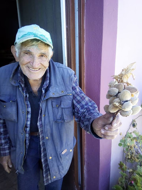 Εικόνες από χωριό  Καραϊσκάκης   Ξηρομέρου.... - Φωτογραφία 17