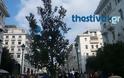 Η βελανιδιά της ζωής φυτεύτηκε στην πλατεία Αριστοτέλους... για καλό σκοπό [photo]