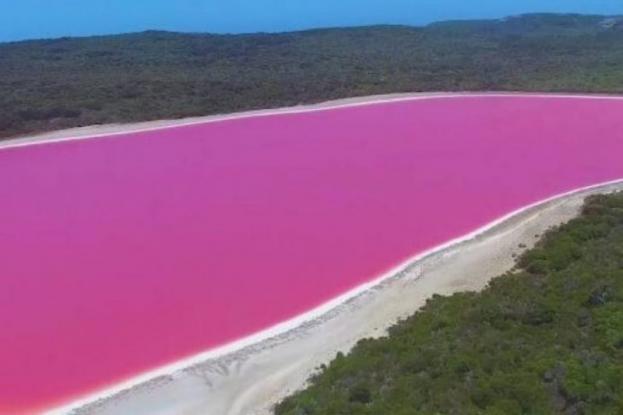 Η ροζ λίμνη που μαγεύει τους επισκέπτες: Πού βρίσκεται; - Φωτογραφία 1