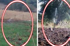 ΚΑΤΟΥΝΑ: Άλλοι διψούν και άλλοι… ποτίζουν τα γρασίδια!!