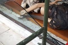 Πάτρα: Εκαψαν με μολότοφ κατάστημα με γούνες – Πού στρέφονται οι έρευνες