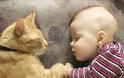 Τα παιδιά που μεγαλώνουν με γάτες κινδυνεύουν λιγότερο από άσθμα