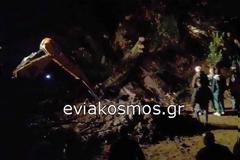 Εύβοια: Απίστευτο δυστύχημα - Τον καταπλάκωσε μπουλντόζα [photos]