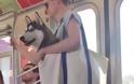 Νέα Υόρκη: Απαγόρευσαν τα ζώα στο μετρό αλλά η λύση βρέθηκε! - Φωτογραφία 2
