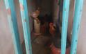 Κολαστήριο ζώων στο Ρίον – Νεκρά άλογα – υποσιτισμένες κατσίκες [Σκληρές εικόνες] - Φωτογραφία 6