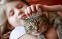Οι γάτες (όχι οι σκύλοι) σώζουν τα παιδιά από άσθμα - Φωτογραφία 1