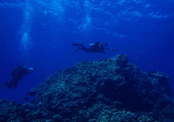 Καλές οι προοπτικές για την ανάπτυξη του υποβρύχιου τουρισμού στην Ελλάδα - Φωτογραφία 1