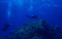 Καλές οι προοπτικές για την ανάπτυξη του υποβρύχιου τουρισμού στην Ελλάδα