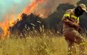 Η ΕΑΚΠ στηρίζει τον αγώνα των Πενταετών και Συμβασιούχων Πυροσβεστών