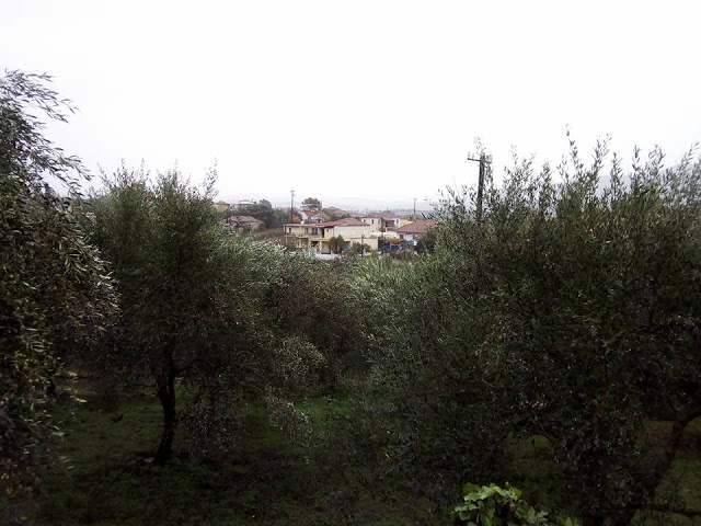 Καλημέρα με βροχή απο το χωριό ΜΑΧΑΙΡΑΣ Ξηρομέρου (ΕΙΚΟΝΕΣ) - Φωτογραφία 12