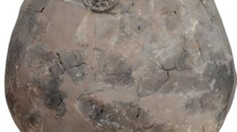 Ανακαλύφθηκαν τα αρχαιότερα ίχνη κρασιού, ηλικίας 8.000 ετών - Φωτογραφία 1