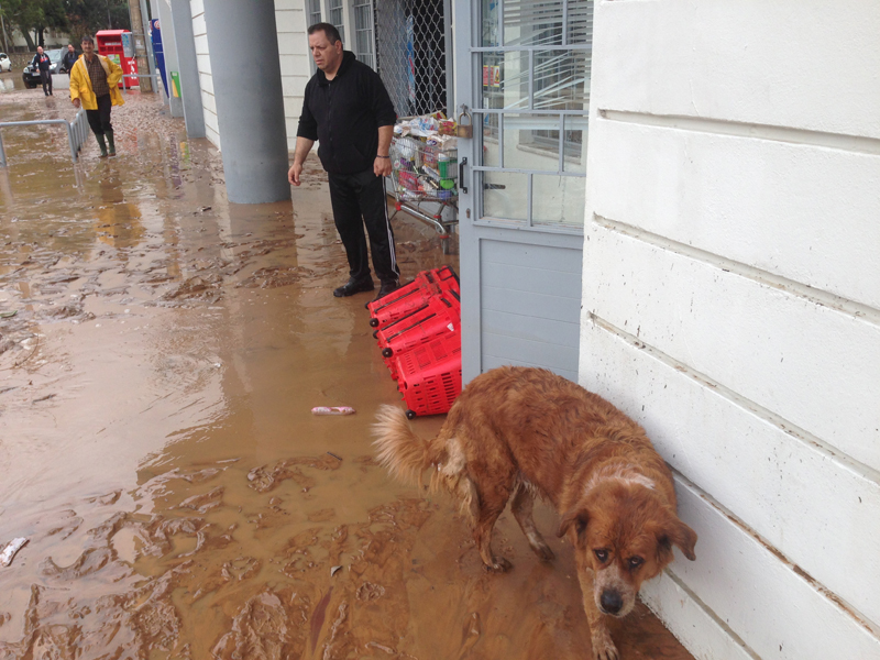 Νέα Πέραμος: Ανέβηκαν στα φορτηγά για να σωθούν! - Φωτογραφία 6
