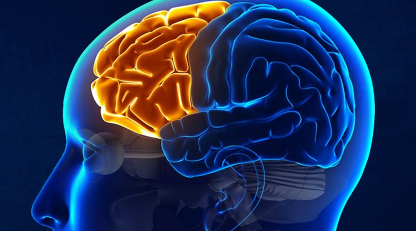 New Scientist: Εγκεφαλικό εμφύτευμα βελτιώνει την ανθρώπινη μνήμη - Φωτογραφία 1