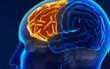 New Scientist: Εγκεφαλικό εμφύτευμα βελτιώνει την ανθρώπινη μνήμη