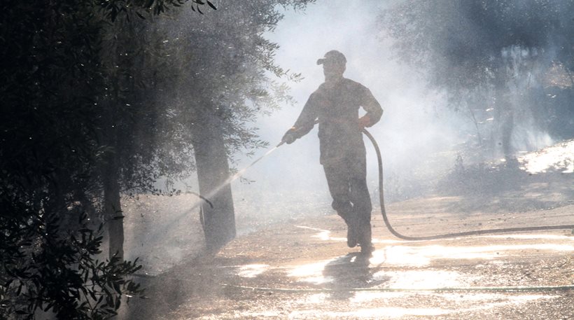 Τραγωδία στη Μυτιλήνη: Ηλικιωμένος πέθανε προσπαθώντας να σβήσει τη φωτιά που έβαλε στο χωράφι του - Φωτογραφία 1