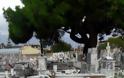 Άνοιξαν οι τάφοι από το χτύπημα ανεμοστρόβιλου στους Γαργαλιάνους - ΦΩΤΟ