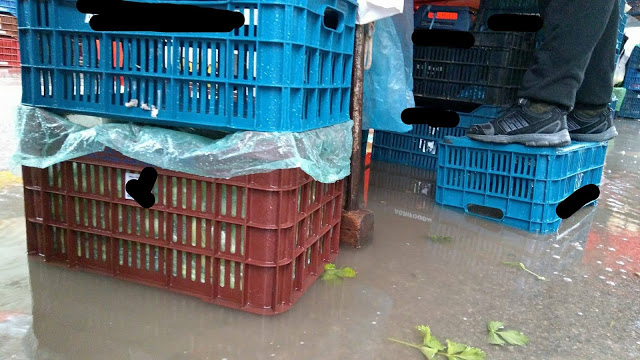 Χαλκίδα: Πλημμύρισε από τη βροχή η λαϊκή αγορά της Κανήθου! (ΦΩΤΟ & ΒΙΝΤΕΟ) - Φωτογραφία 2
