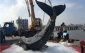Κίνα: Νεκρή πτεροφάλαινα που έχασε τον προσανατολισμό της