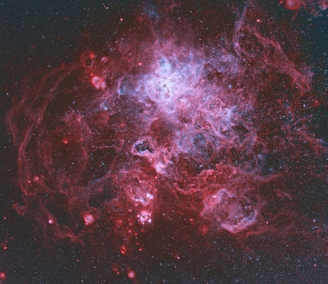 The Tarantula Nebula - Φωτογραφία 1