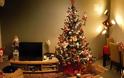 Η Ανθή Βούλγαρη στόλισε το σπίτι της για τα Χριστούγεννα μαζί με τον σύντροφο της: Δείτε την φωτογραφία! - Φωτογραφία 2