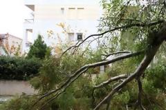 O «Ζήνων» πέρασε και από το Μεσολόγγι (ΔΕΙΤΕ ΦΩΤΟ-ΒΙΝΤΕΟ)