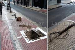 Λαμία: Κάποια καλόπαιδα ξέσπασαν στα δεντράκια