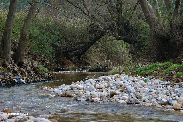 Πώς θα ήταν η Αθήνα αν είχε χτιστεί στις όχθες των ποταμών της [photos] - Φωτογραφία 4