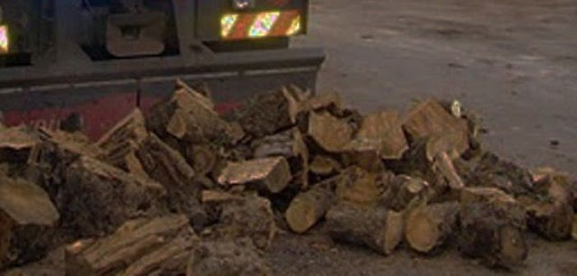 Κατάσχεση φορτηγού και μεγάλης ποσότητας ξυλείας στην Αμφιλοχία - Φωτογραφία 1