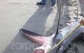 Καρχαρίας 3 μέτρα «βγήκε» στην παραλία - Φωτογραφία 3