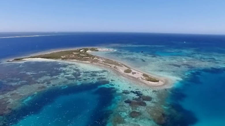 Αυτοψία στο «Νησί του τρόμου», εκεί που έγινε η πρώτη μαζική δολοφονία πριν 400 χρόνια - Φωτογραφία 1
