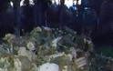 Περιπετειώδης καταδίωξη λαθροϋλοτόμων στον Αστακό! (ΑΠΟΚΛΕΙΣΤΙΚΕΣ ΦΩΤΟΓΡΑΦΙΕΣ) - Φωτογραφία 3