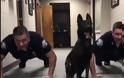 Αστυνομικός σκύλος πέφτει και παίρνει μαζί με τους συναδέλφους του (βίντεο)