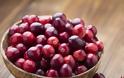 Χυμός Cranberry: Τα οφέλη του στην υγεία, την επιδερμίδα και τα μαλλιά σας - Φωτογραφία 1