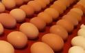 Τσέκαρε με ένα απλό τεστ εάν τα αυγά σου είναι φρέσκα!