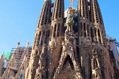 Τερμίτες κατασκεύασαν τη δική τους Sagrada Familia!