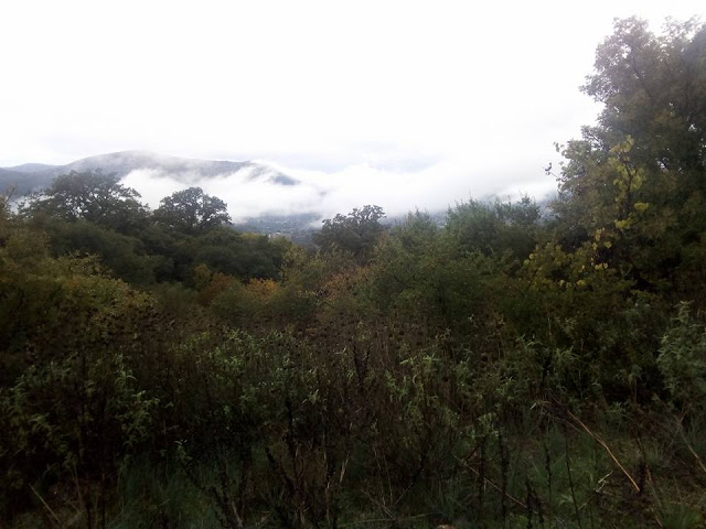 Καλημέρα με βροχή απο το χωριό ΠΡΟΔΡΟΜΟΣ  Ξηρομέρου (ΕΙΚΟΝΕΣ) - Φωτογραφία 18