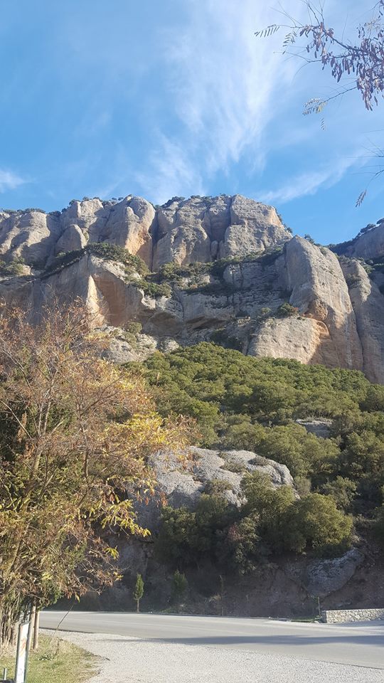 Με επιτυχία η εκδρομή στα ΚΑΛΑΒΡΥΤΑ του Συλλόγου ΠΑΛΑΙΟΜΑΝΙΝΑΣ Η Σαυρία (ΦΩΤΟ) - Φωτογραφία 10