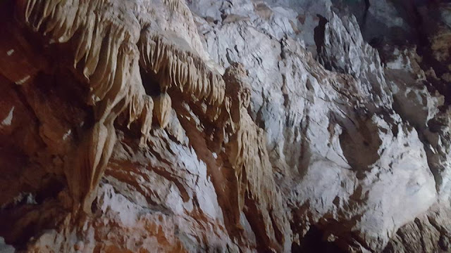 Με επιτυχία η εκδρομή στα ΚΑΛΑΒΡΥΤΑ του Συλλόγου ΠΑΛΑΙΟΜΑΝΙΝΑΣ Η Σαυρία (ΦΩΤΟ) - Φωτογραφία 15