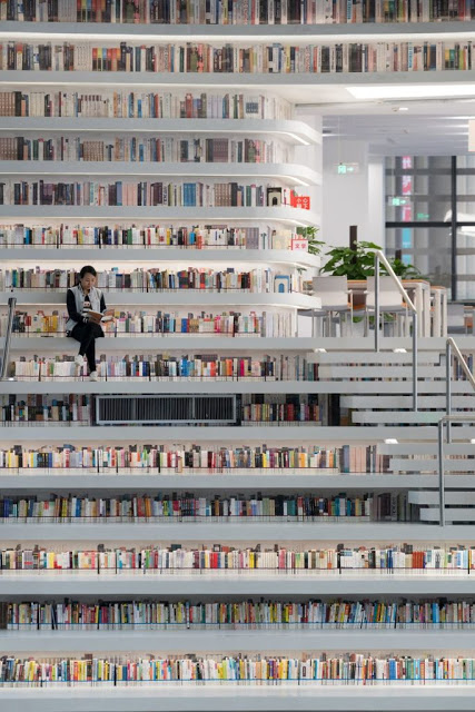 Η βιβλιοθήκη με τα 1.200.000 βιβλία στην Κινα, προκαλεί... ίλιγγο! - Φωτογραφία 8