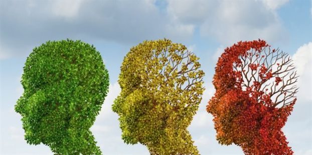 Νέα στοιχεία για τον εγκέφαλο, τη νόσο Αλτσχάιμερ και την άνοια - Φωτογραφία 1