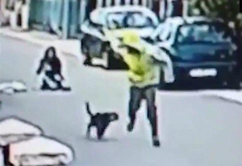 Αδέσποτος σκύλος κυνήγησε επίδοξο ληστή (video) - Φωτογραφία 1